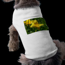 Summer Day pet clothing