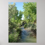 Summer Day posters