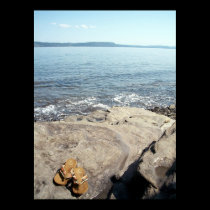 Summer Days Poster posters