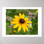 Summer Delight Print