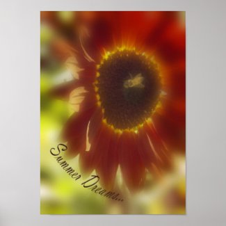 Summer Dreams Sunflower Poster print