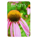 Summer Echinacea Magnet magnets