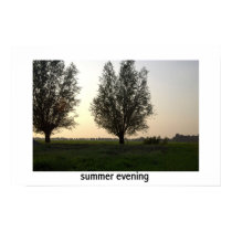 Summer evening posters