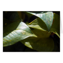 Summer Flora Leaf cards