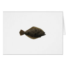 Summer Flounder Greeting Cards