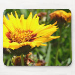 Summer Flower Mouse Pad