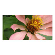 Summer Flower... Customized Photo Card