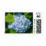 Summer Flower Postage Stamps