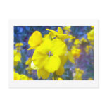 Summer Flower Postcard