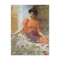 Summer Flowers by John William Godward Post Card