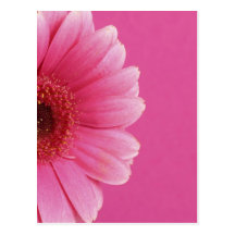 Summer Flowers Post Cards