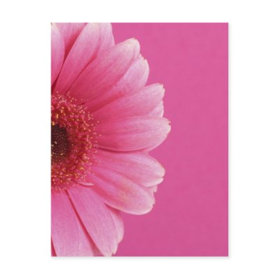 Summer Flowers Post Cards by Rmunnie