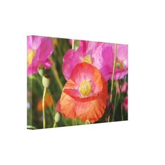 Summer flowers Wrapped Canvas
