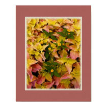 Summer Foliage Abstract posters by djacovitch Summer Foliage Abstract posters