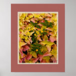 Summer Foliage Abstract Posters