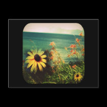 summer frame postcards by trendhuntress summer frame postcards