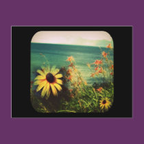 summer frame postcards