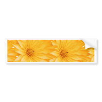 Summer fresh customizable template bumper stickers