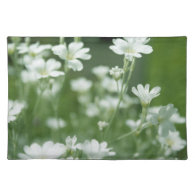 summer fresh white garden flowers placemats