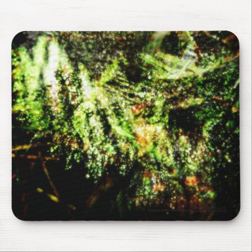 Summer Fruit Mousepads