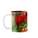 Summer Fruit mugs