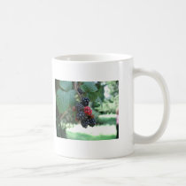 Summer Fruits (4803) Classic White Mug 11oz mugs