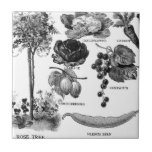 Summer Garden Botanicals in Black & White tiles