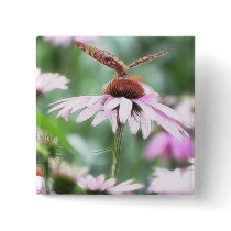 Summer Garden - Echinaceas Pins