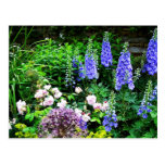 Summer Garden Post Cards