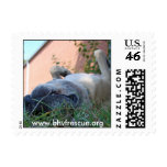 Summer Gio Stamps