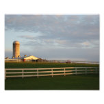 Summer Glow 10x8 Photographic Print