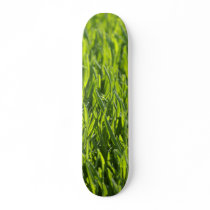 Summer Grass Skateboard