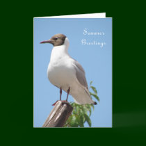 Summer Greetings Bird Card