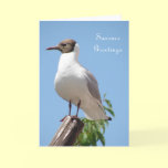 Summer Greetings Bird Card