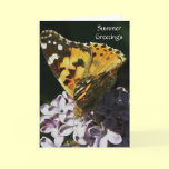 Summer greetings- butterfly card