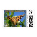 Summer greetings - Butterfly postage postage