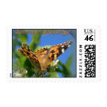 Summer greetings - Butterfly postage