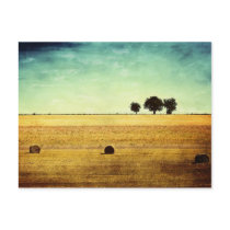 Summer Hour postcards