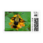 Summer Hummer Stamps