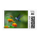 Summer Humming Stamp