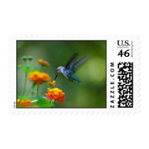 Summer Humming Stamp