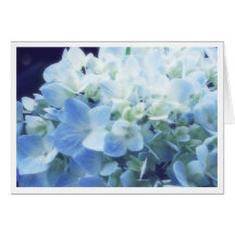 Summer Hydrandea Card