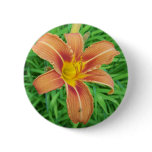Summer In Maine Button
