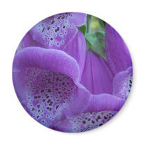 Summer In Maine Fridge Magnets