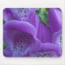 Summer In Maine Mouse Pads