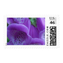 Summer In Maine Postage Stamps