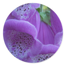Summer In Maine Round Sticker