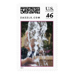 Summer in Motion postage