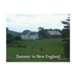 Summer in New England Postcard