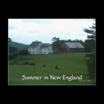Summer in New England Postcard